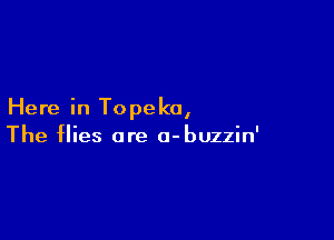 Here in To peko,

The flies are a-buzzin'