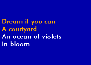 Dream if you can

A courlya rd

An ocean of violets
In bloom