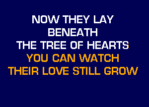 NOW THEY LAY
BENEATH
THE TREE 0F HEARTS
YOU CAN WATCH
THEIR LOVE STILL GROW