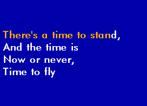 There's a time to stand,
And the time is

Now or never,
Time to fly