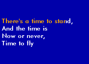 There's a time to stand,
And the time is

Now or never,
Time to fly
