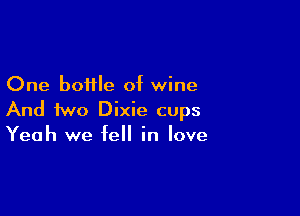 One bottle of wine

And two Dixie cups
Yeah we fell in love