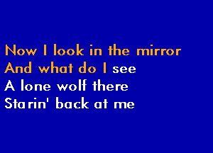 Now I look in the mirror
And what do I see

A lone wolf there
Sta rin' back of me