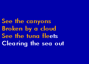 See the canyons
Broken by a cloud

See the tuna fleets
Clea ring the sea out
