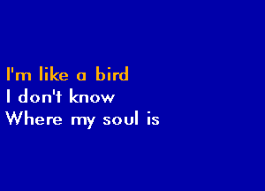 I'm like a bird

I don't know
Where my soul is