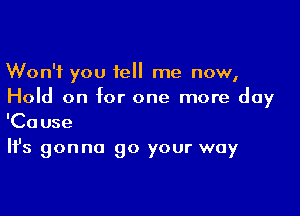 Won't you tell me now,
Hold on for one more day

'Cause
It's gonna go your way