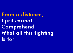 From a distance,
I just cannot

Comprehend
What all this fighting

Is for