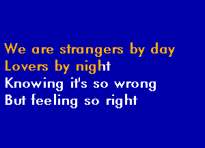 We are strangers by day
Lovers by night

Knowing it's so wrong
But feeling so right