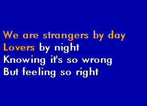 We are strangers by day
Lovers by night

Knowing it's so wrong
But feeling so right