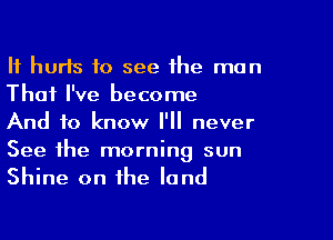 It hurts to see the man
That I've become

And to know I'll never

See the morning sun
Shine on the land