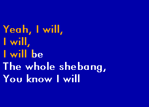 Yeah, I will,
I will,

I will be

The whole shebang,

You know I will
