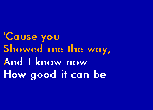 'Cause you
Showed me the way,

And I know now
How good if can be