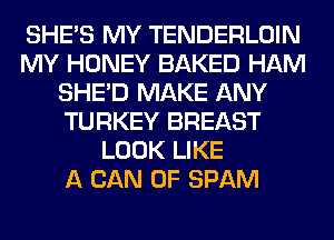 SHE'S MY TENDERLOIN
MY HONEY BAKED HAM
SHED MAKE ANY
TURKEY BREAST
LOOK LIKE
A CAN 0F SPAM