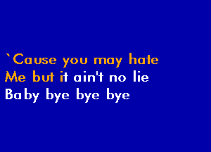 Cause you may hate

Me but it ain't no lie
30 by bye bye bye