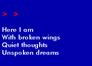 Here I am

With broken wings
Quiet ihoug his
Unspoken dreams