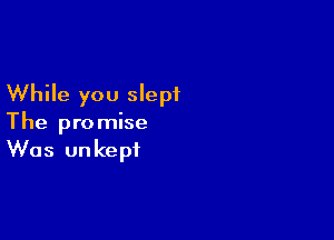 While you slept

The promise
Was un kept