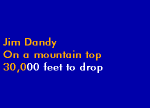 Jim Dandy

On a mountain top

30,000 feet to drop