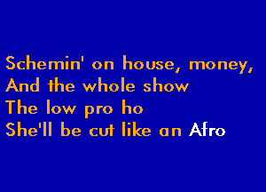 Schemin' on house, money,
And the whole show

The low pro ho
She'll be cut like an Afro