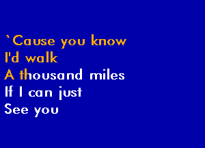 CaUse you know

I'd walk

A thousand miles
If I can just
See you