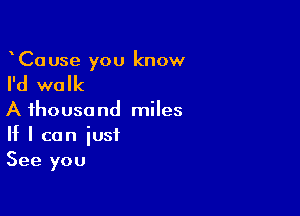 CaUse you know

I'd walk

A thousand miles
If I can just
See you