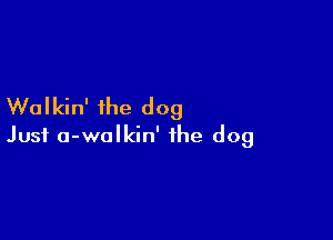 Walkin' the dog

Just a-walkin' the dog