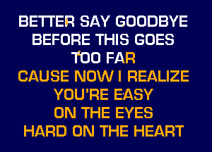 BETTER SAY GOODBYE
BEFORE THIS GOES
T00 FAR
CAUSE NOWI REALIZE
YOU'RE EASY
ON THE EYES
HARD ON THE HEART