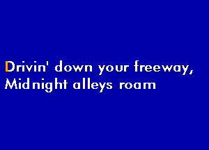 Drivin' down your freeway,

Mid nig hf alleys roam