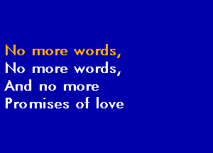 No more words,
No more words,

And no more
Promises of love