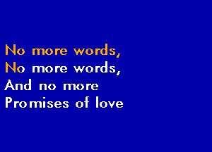 No more words,
No more words,

And no more
Promises of love