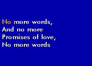 No more words,
And no more

Promises of love,
No more words