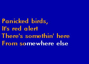 Panicked birds,
Ifs red alert

There's somethin' here
From somewhere else