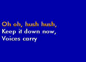 Oh oh, hush hush,

Keep it down now,
Voices carry