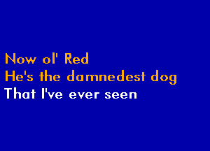 Now 0 Red

He's the domnedesf dog
That I've ever seen