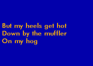 But my heels get hot

Down by the muffler
On my hog
