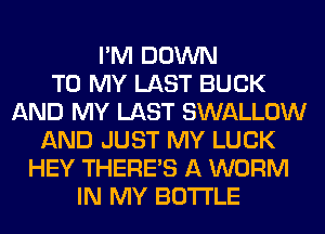 I'M DOWN
TO MY LAST BUCK
AND MY LAST SWALLOW
AND JUST MY LUCK
HEY THERE'S A WORM
IN MY BOTTLE