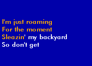 I'm just roaming
For the momentL

Sleazin' my backyard
So don't get