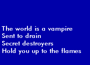 The world is a vampire

Sent to drain
Secret destroyers

Hold you up to the flames