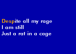 Despite all my rage

I am still
Just a rat in a cage