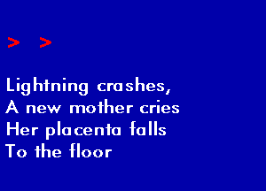 Lig hfning crashes,

A new mother cries

Her placenta falls
To the floor