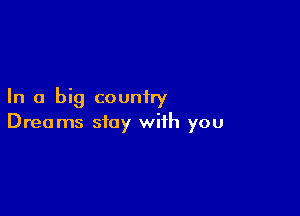 In a big country

Dreams stay with you