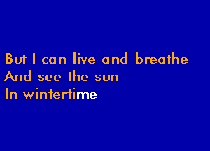 But I can live and breathe

And see the sun
In wintertime