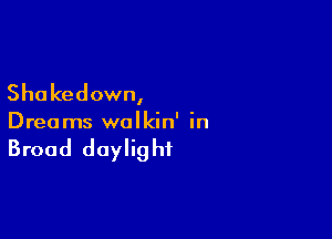 Shakedown,

Dreams wolkin' in

Broad daylight