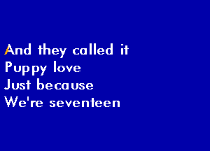 And they called it
Puppy love

Just beca use
We're seventeen