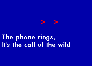 The phone rings,
It's the call of the wild