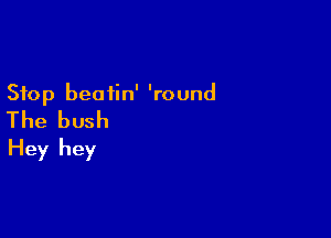 Stop beatin' 'round

The bush

Hey hey