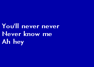 You'll never never

Never know me

Ah hey