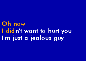 Oh now

I did n'i want to hurt you
I'm iust a jealous guy