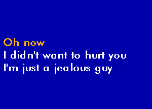 Oh now

I did n'i want to hurt you
I'm iust a jealous guy