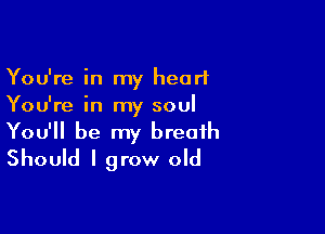 You're in my heart
You're in my soul

You'll be my breath
Should I grow old