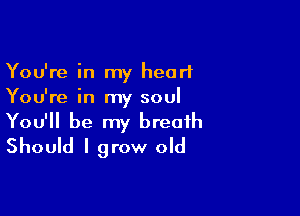 You're in my heart
You're in my soul

You'll be my breath
Should I grow old